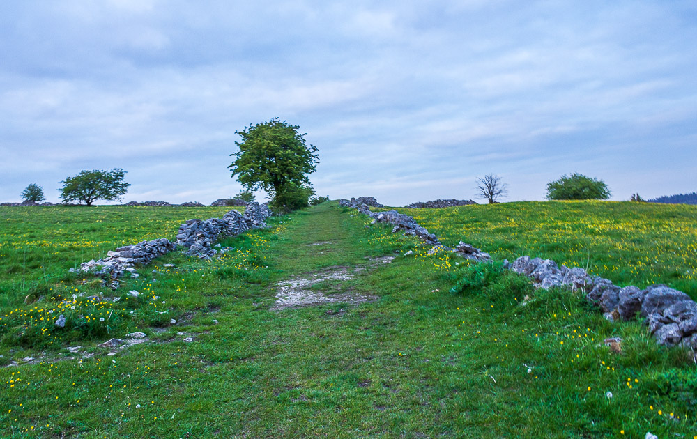 Middleton Moor Middleton Moor